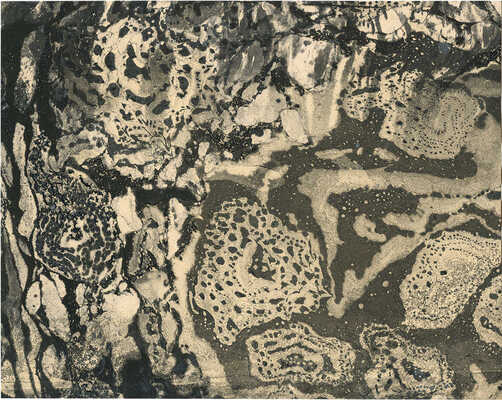 Тарханов Михаил Михайлович. Композиция